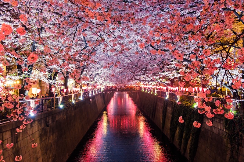 日本传统寺庙